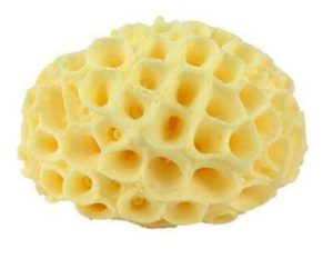 Natural Sea Sponge
